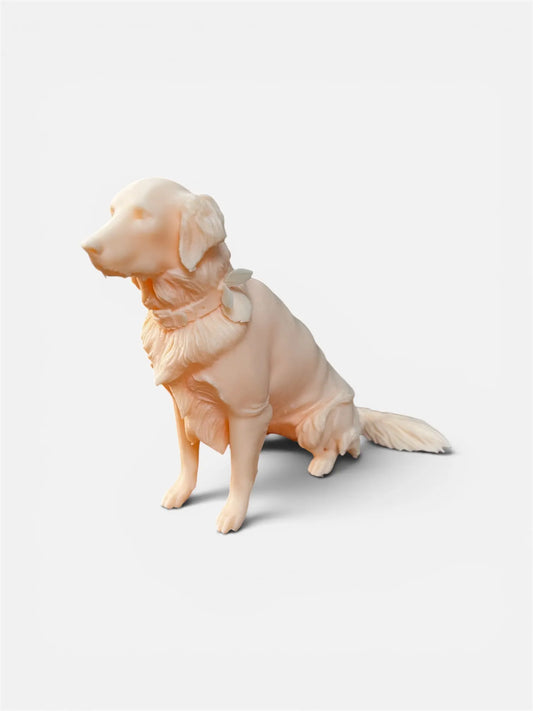 Goldenretriever im Detail von der Seite.