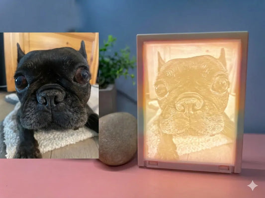 Porträt-Foto einer schwarzen Französischen Bulldogge als Vorlage für ein personalisiertes 3D-Lithophan.